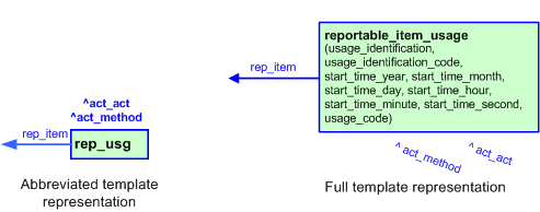 Figure 2 —  The graphical representation of the reportable_item_usage template
