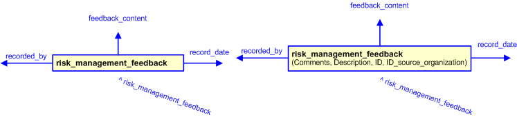 Figure 3 —  The graphical representation of the risk_management_feedback template