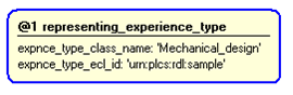 Figure 4 —  Instantiation of representing_experience_type template
