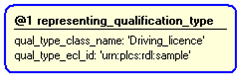 Figure 4 —  Instantiation of representing_qualification_type template